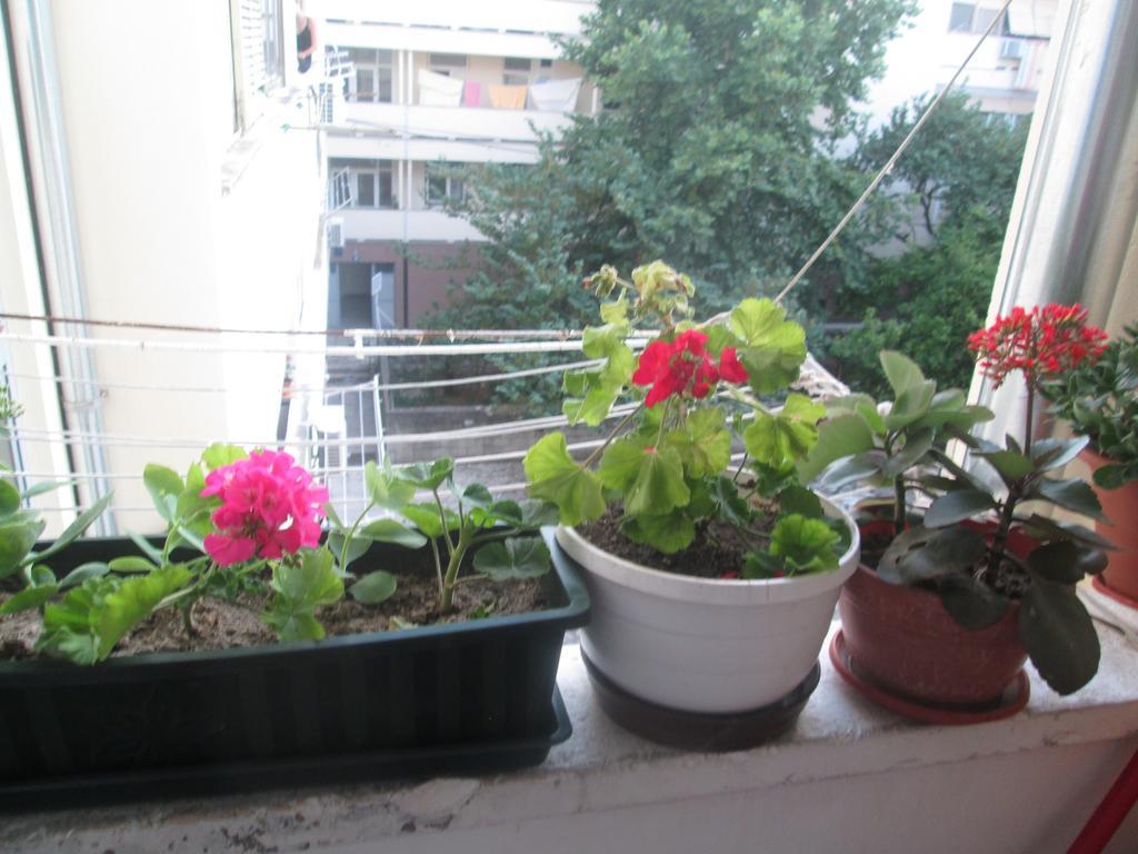 Guest House Marija Zadar Exterior photo